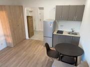 location appartement lyon 7eme arrondissement 1 pièce 17...