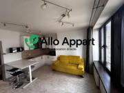 location appartement lyon 7eme arrondissement 1 pièce 25...