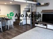 location appartement lyon 7eme arrondissement 1 pièce 34...