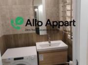 location appartement lyon 7eme arrondissement 2 pièces...