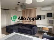 location appartement lyon 8eme arrondissement 1 pièce 31...