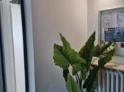 location appartement metz 7 pièces 114 m2 moselle 57000...