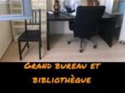 location appartement montpellier 1 pièce 17 m2 herault...