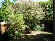 Location Appartement Rue de Brach, Bordeaux