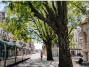 Location Appartement Rue duffour dubergier, Bordeaux