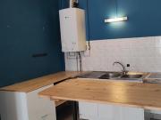 Location Appartement Rue Élie Rochette, Lyon