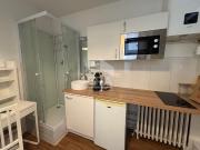 Location Appartement Rue Jean Goujon, Paris