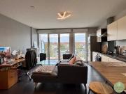 Location Appartement Rue Ludwig van Beethoven, Colmar