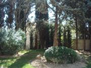Location Appartement Rue Pierre Berthier, Aix en Provence