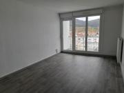 location appartement saint die 3 pièces 65 m2 vosges...