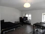 location appartement saint etienne 1 pièce 31 m2 loire...