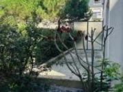 location appartement saint malo 2 pièces 49 m2 ille et...