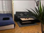 location appartement saint maur des fosses 1 pièce 30 m2...