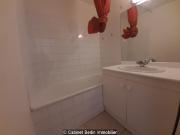 Location Appartement T2 Toulouse 1 chambre