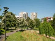 location appartement toulouse 1 pièce 31 m2 haute...