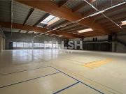 Location bâtiment d'activités Décines Charpieu...