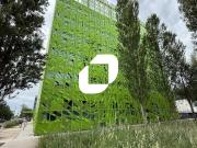 Location bureaux Lyon 2 Quartier Confluence Proche Tram...