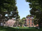 Location bureaux Toulouse Secteur Saint Étienne Proche...