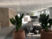 Location bureaux Wasquehal Proche tramway, gare Lille...