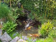 Location Chambre 1 pièce 10 m2 Bayonne