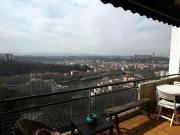 Location Chambre Rue Paul Chenavard, Lyon