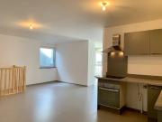 location duplex/triplex 100 m² nancy 54000