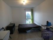 Location House Rue du Bois Girault, Saint Jean le Blanc