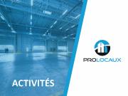 Location local d'activité La Roche sur Foron Accès A410