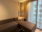 Location magnifique studio meublé Palmiers