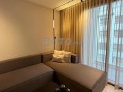 Location magnifique studio meublé Palmiers Location magnifique studio meublé Palmiers