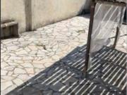 Location Maison 4 pièces 75 m2 Nogent sur Loir