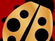 Location Maison 4 pièces 73 m2 Perpignan