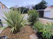 location maison chateau d'olonne 2 pièces 53 m2...