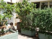 Location Maison de ville 5 pièces 160 m2 Versailles