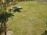 location maison on saint leu 55 m2 reunion 97436 915 € /...