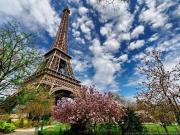 Location Studio 1 pièce 17 m2 Paris 15ème