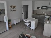 Location Studio 1 pièce 29 m2 Maisons Alfort