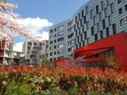 Location Studio 1 pièce 30 m2 Paris 17ème