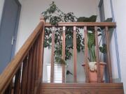 LOCATION T2 MEUBLE LALOUBERE CENTRE