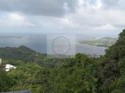 Location vide d'un 2 pièces de 50,30 m² avec balcon...