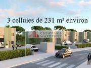 Locaux d'activités à vendre Perpignan Proche A9