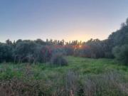 LOCOGRANDE – Terreno agricolo di 6.000 mq ca. Euro 15mila