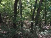 Locust Dr, Mound City, Plot For Sale