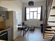 Loft 1 pièce 43 m²