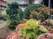 Loft 3 pièces 83 m²