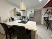 Loft Amueblado, Carso Alameda