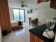 loft amueblado en renta en chapultepec norte, morelia