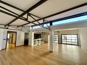Loft avec terrasse