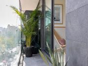 Loft con balcón en Antara Polanco por dias, semana o mes