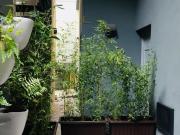 Loft doble altura, con terraza y roof garden privado